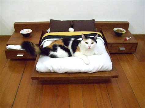 25 Awesome Furniture Design Ideas For Cat Lovers | Bored Panda