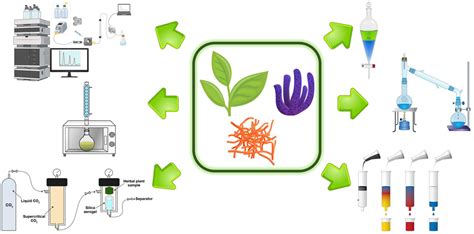 Frontiers | Natural Products’ Extraction and Isolation-Between Conventional and Modern Techniques