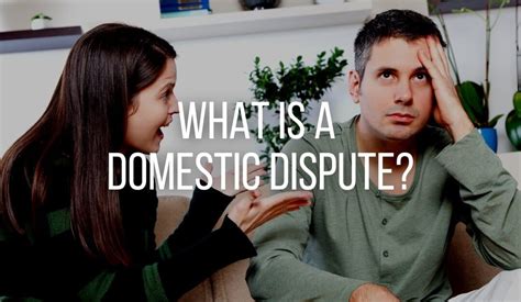 What is a Domestic Dispute? - Plekan Law