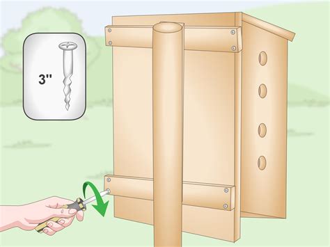 3 Ways to Hang a Bat House - wikiHow