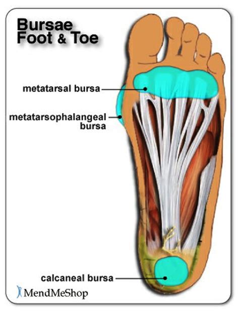 Bursa Sac Foot « MedicineBTG.com