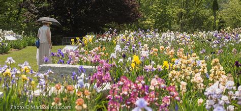 Botanical Gardens Burlington Ontario | Fasci Garden