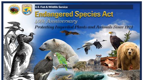 The ESA @ 50 | The Endangered Species Conservation Site