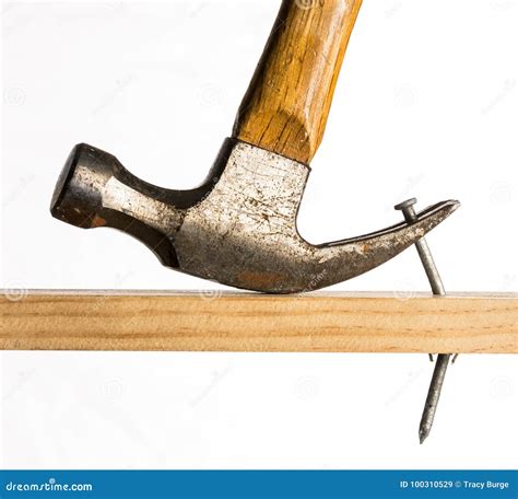 A Claw Hammer Removing a Nail Stock Image - Image of hammer, attach ...