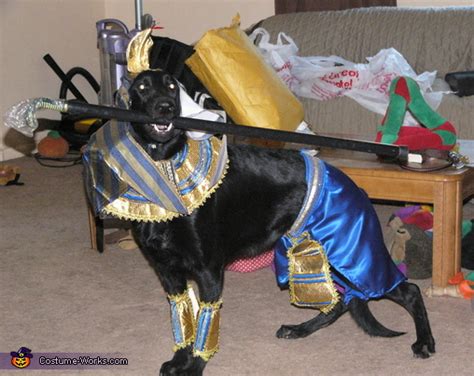 Anubis Egyptian Dog God Costume