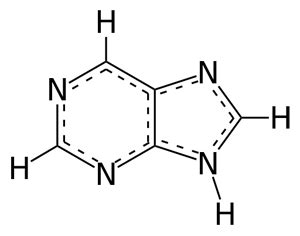 Purine Structure