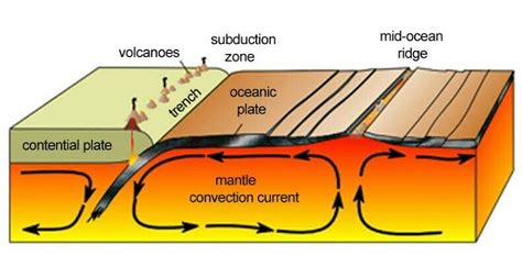 The diagram shows the layers of earth convection currents in which region influence the movement ...