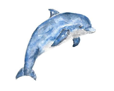 Animal Art Watercolor Animals Watercolor Dolphin Beach - Etsy