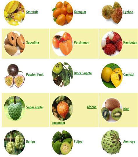 Juwita Blog: Fruits | List of Exotic fruits