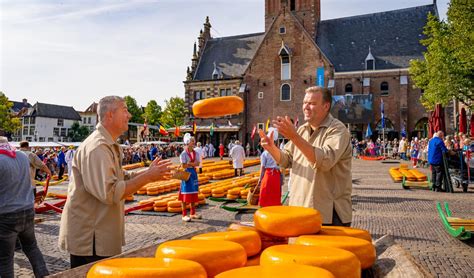 Kaasmarkt Alkmaar.