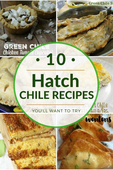 10+ Hatch Green Chile Recipes | The CentsAble Shoppin