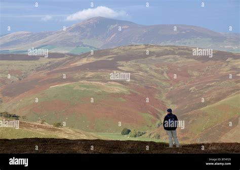 Walker on Culter fell, Southern Uplands, Scotland, looking towards Tinto Stock Photo - Alamy