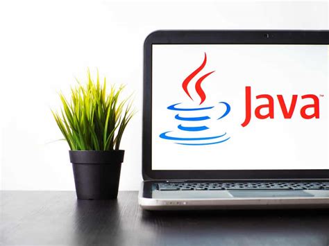 The Advantages and Disadvantages of Java Software Development. | NxTide