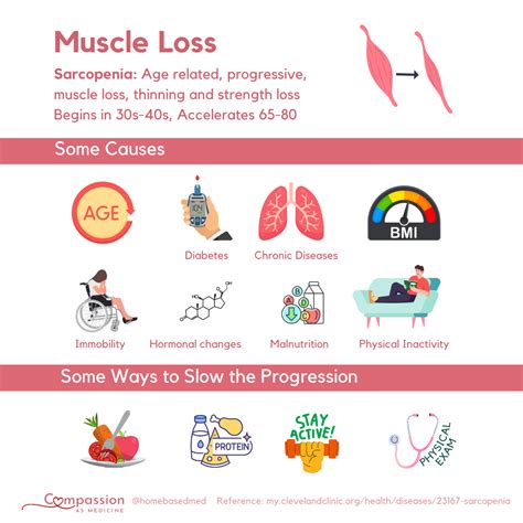 Understanding Muscle Loss: Causes, Management, and Treatment Options – Home Based Medicine