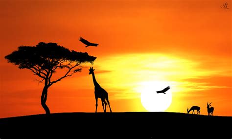 Savannah Sunset Giraffe