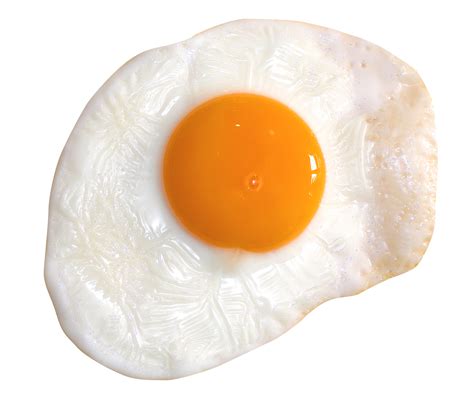 egg PNG