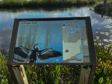 Everglades Anhinga Trail - TRIPS TIPS and TEES