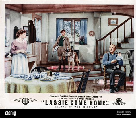 Lassie come home 1943 hi-res stock photography and images - Alamy