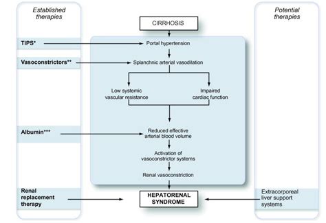 Pathophysiology Of Hepatorenal Syndrome