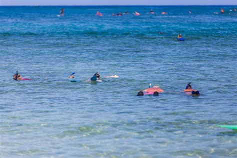 Snorkeling beaches in Poipu | Kauai snorkeling guide