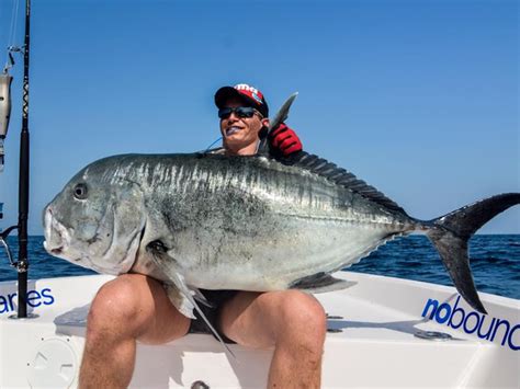 Giant Trevally Fishing Report - April 08, 2016 | FISHTRACK.COM