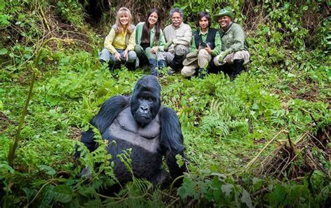 Explore Mountain Gorillas in Rwanda-Luxury African Safaris-Micato