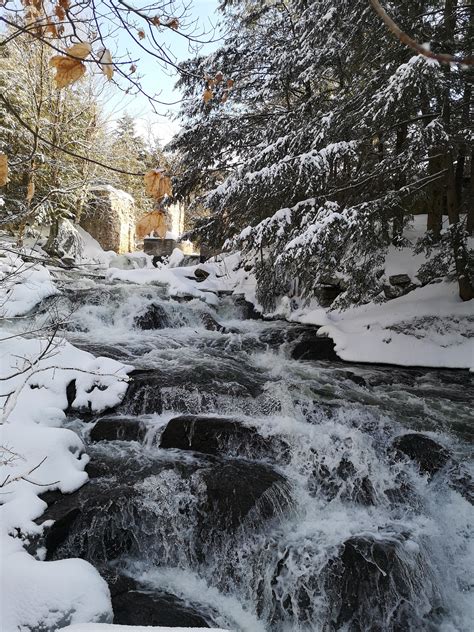 Gatineau park this morning :) : r/ottawa