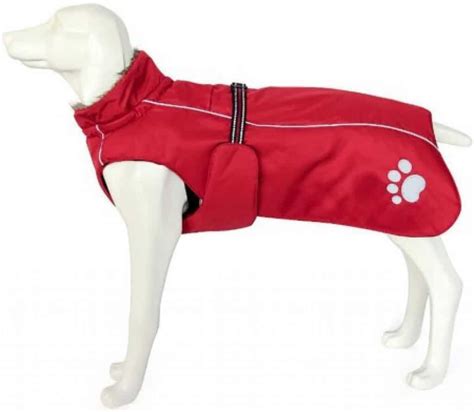 5 Best Waterproof Dog Coats with Chest & Belly Protection [Top Picks]