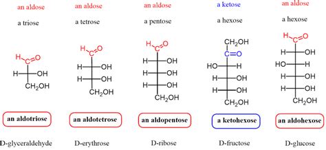 8 Difference Between Aldose And Ketose With Examples - AMERICAN GARDENER