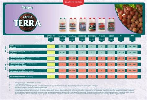 Canna Terra grow guide grape-EN by Aaron Osorio - Issuu