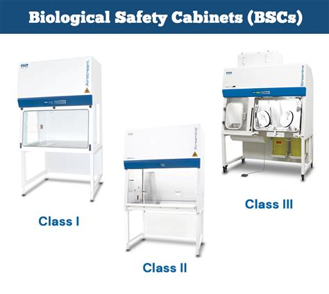 Biological Safety Cabinet (BSC): Types and Working Mechanism • Microbe ...