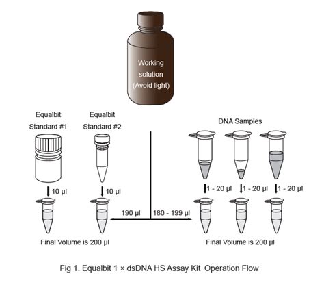 Equalbit 1x dsDNA HS Assay Kit | EQ121 - Cellagen Technology