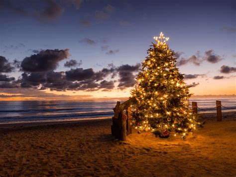 29+ Thousand Christmas Decorations On Beach Royalty-Free Images, Stock ...