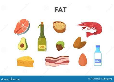 Fat Food Set. Cheese and Oil, Avocado and Fish Stock Vector ...