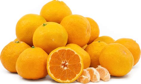 Seedless Satsuma Tangerines Information, Recipes and Facts