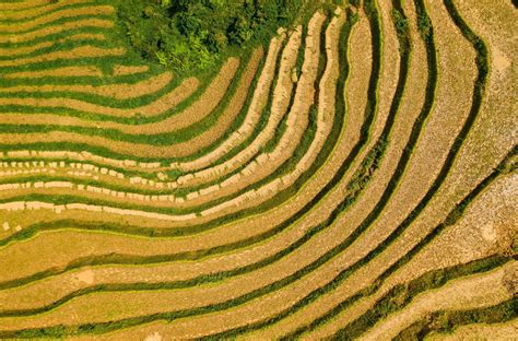 Your guide to the stunning rice terraces of the SaPa Valley