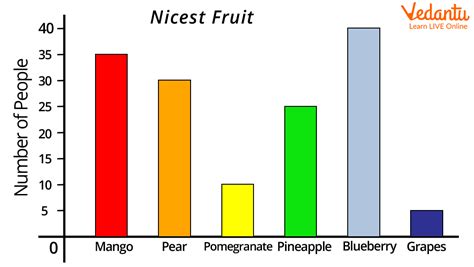 Bar Graphs Examples