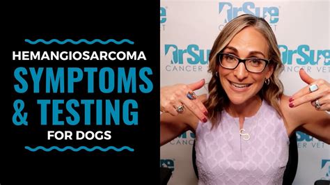 Hemangiosarcoma Symptoms and Testing For Dogs: Vlog 85 - YouTube