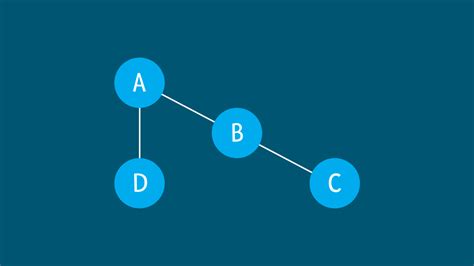 Graph Overview | Data Structure - Ibrahim Hasnat