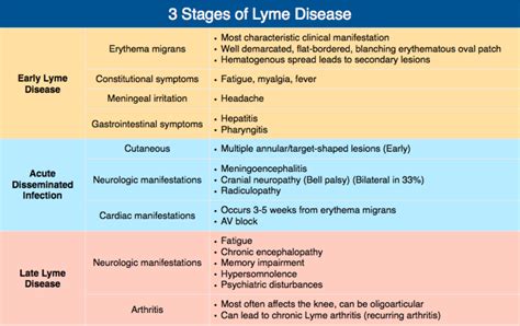 Stage 1 Uterine Prolapse Symptoms