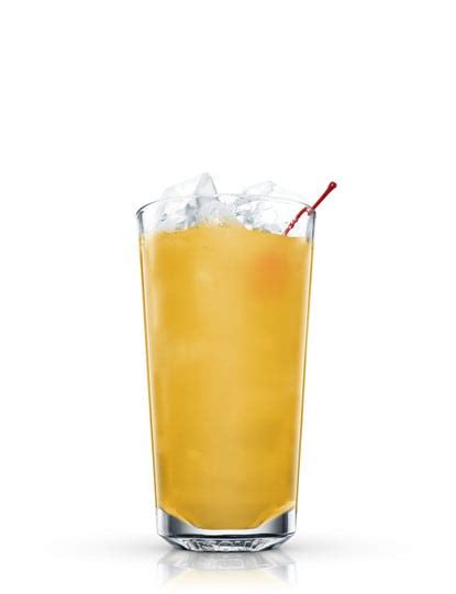 Paradise Punch Recipe | Absolut Drinks