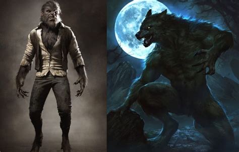 Get to Know 8 Best Human to Werewolf Transformation Stories - Dreame