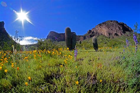 100% chance of rain followed by sunny days - InMaricopa