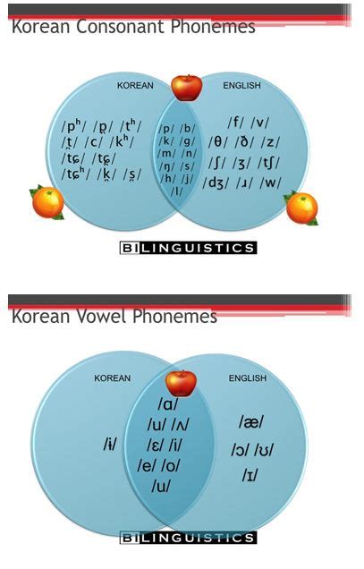 Focus on Bilingualism: Korean: Language History, Culture and Comparison ...