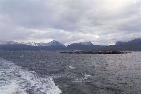 Beagle Channel Cruise (Part 2) | neOnbubble