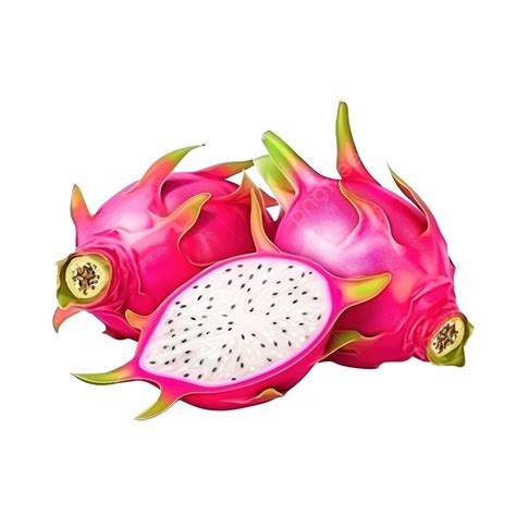 Dragon Fruit Elements Summer Fruits, Dragon Fruit, Fruit, Summer PNG ...