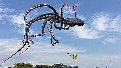 Giant Octopus Kite More... - OddityMall - Unique Gift Ideas