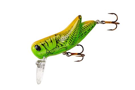 Best Trout Lures And Baits - In-Fisherman