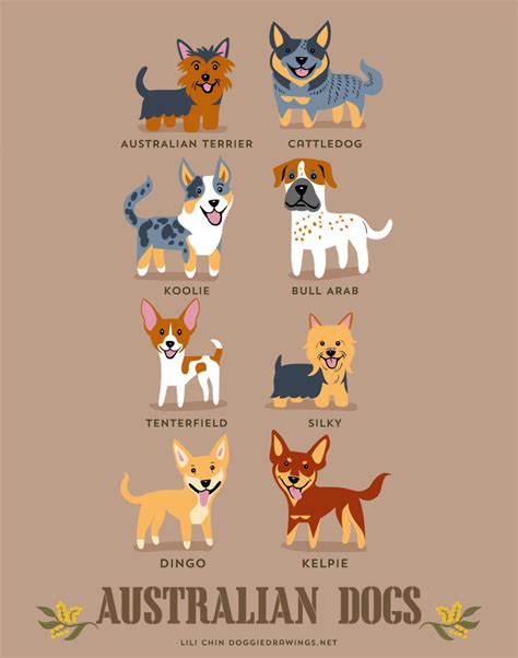 Dogs Of The World: Cute Posters Show The Origins Of 200+ Dog Breeds | Bored Panda