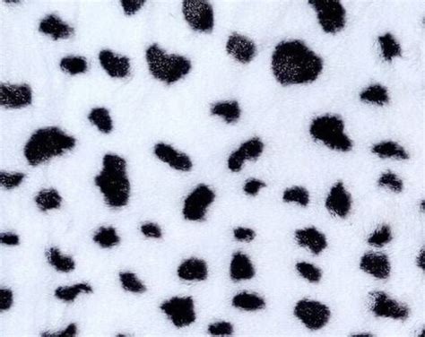 Dalmatian Dog Faux Fur, White/black. Fabric by the Yard - Etsy